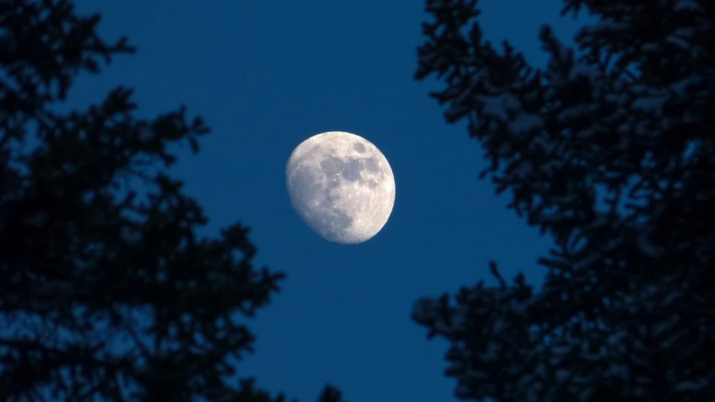 Symbolsk motiv av skjerm som gradvis overgår til stille natt med måne